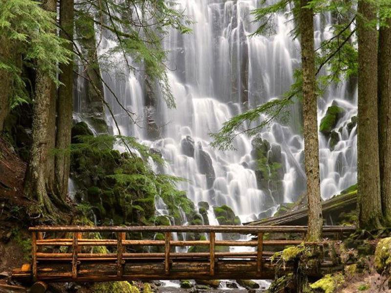 負氧離子濃度是空氣質量評價的指標