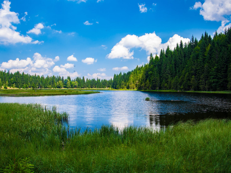 COD水質檢測儀 COD水質檢測儀