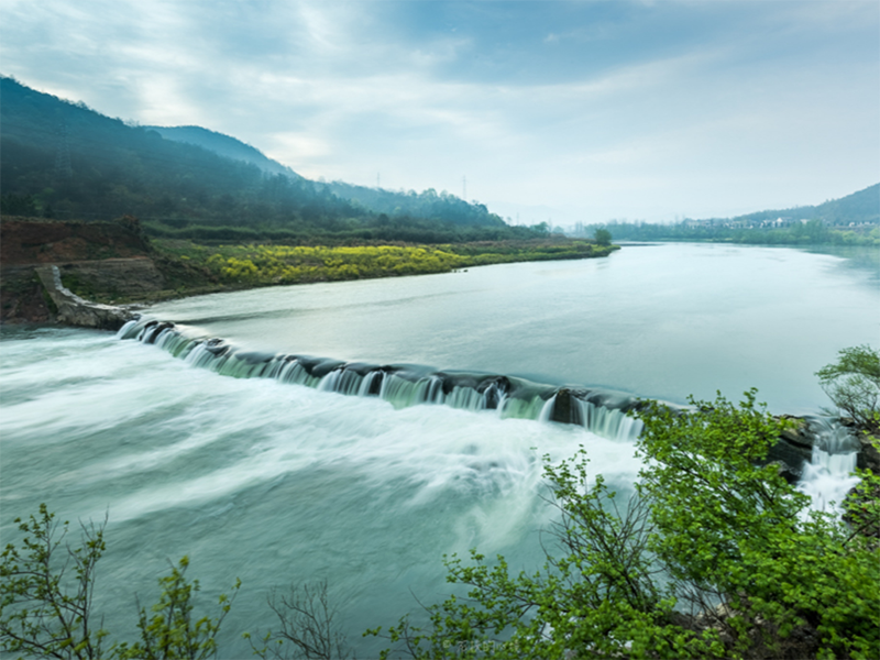 生物毒性檢測儀