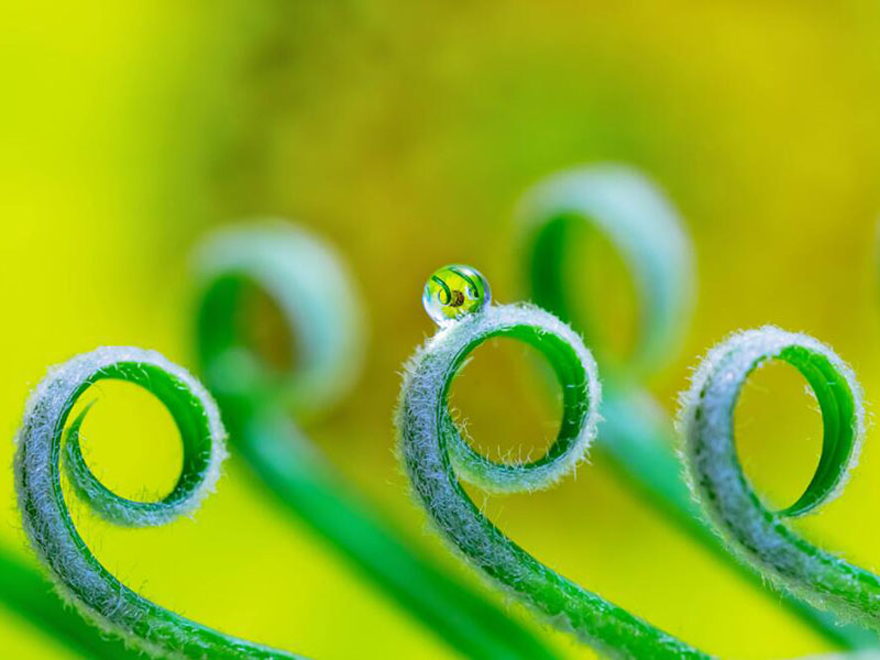 余氯、總氯、有效氯有什么區(qū)別