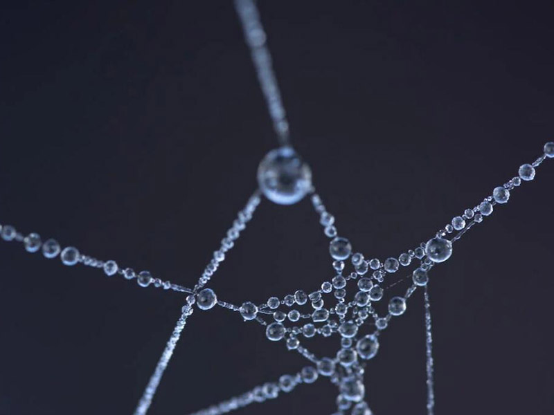 硅酸根檢測儀工作原理