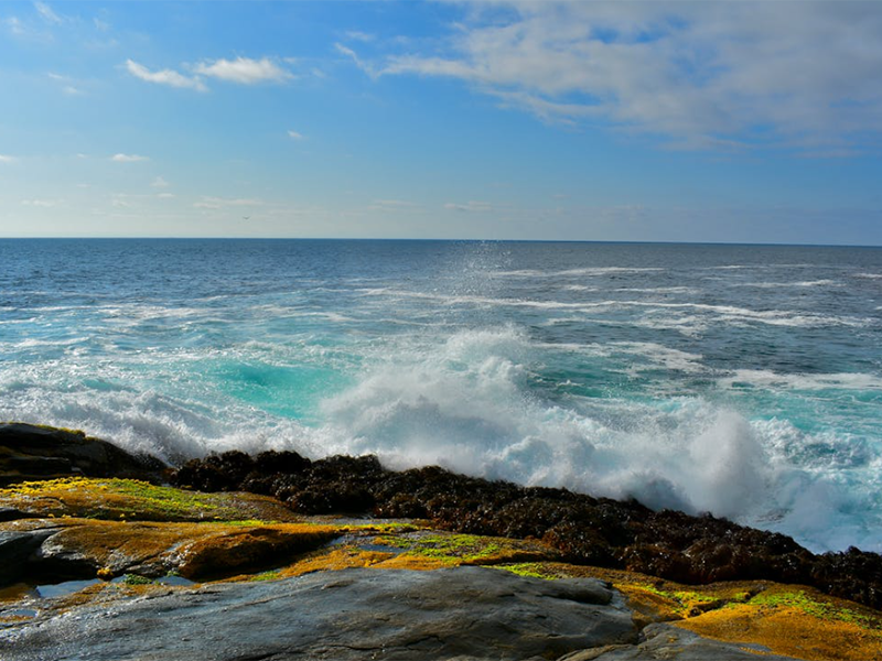 pH計的校準(zhǔn)步驟及常見問題（pH計使用注意事項）
