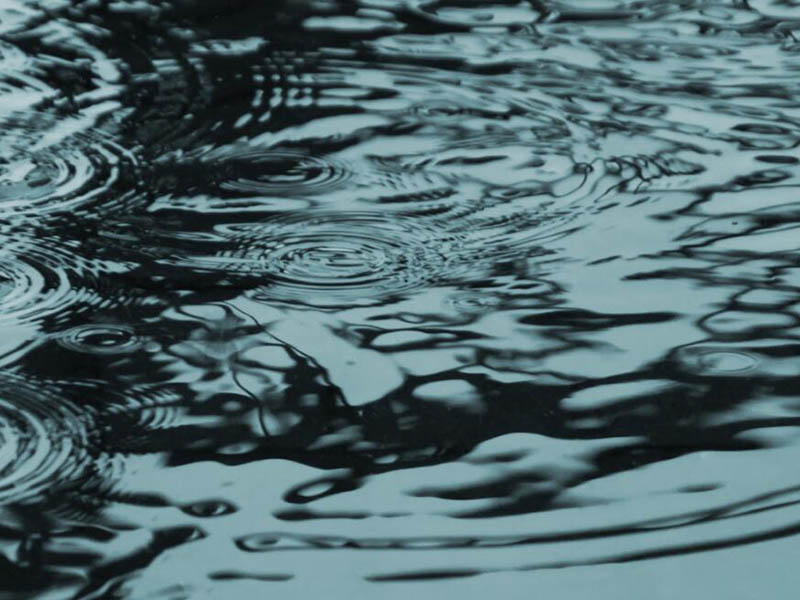 水質(zhì)檢測中常見金屬元素及來源(金屬元素的毒性機制)