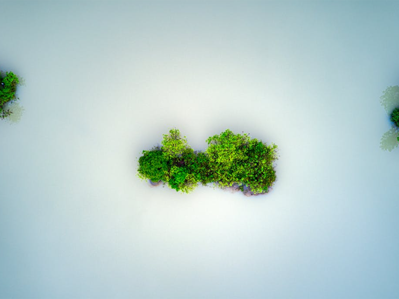 如何正確保養COD快速測定儀（COD快速測定儀操作指南）