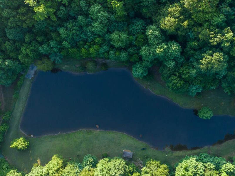 水質(zhì)檢測氨氮大于總氮是什么原因(氨氮與總氮的關(guān)系)