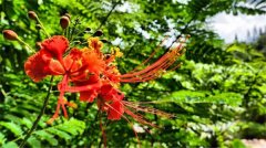 土壤有機質(zhì)檢測儀有什么作用？